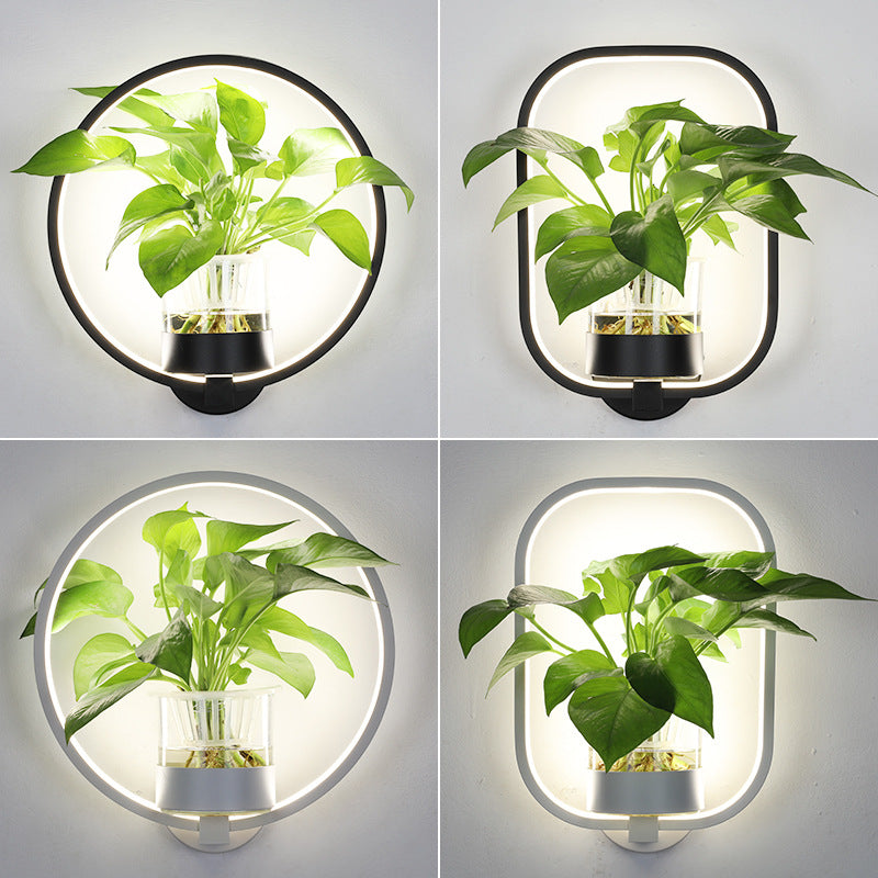 LED Circle Plant holder