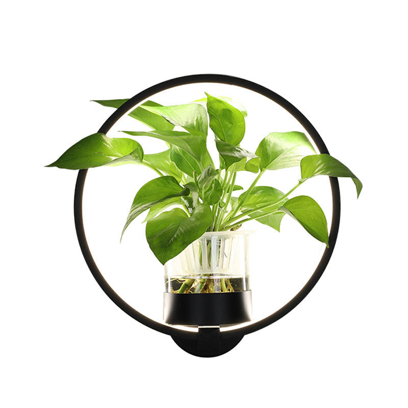 LED Circle Plant holder
